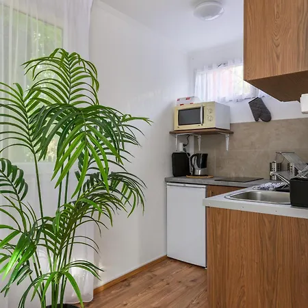 Apartamento Csendliget